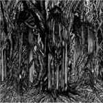 sunn_052206_blackone