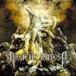 up_051605_anorexia-nervosa