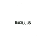 up_060704_bacillus