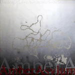 up_090505_amberasylum