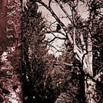 up_121304_carvedinstone