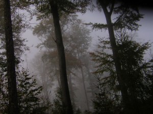 Nature_Of_Music_Val_ProPro_Promo