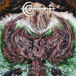Cormorant_Earth